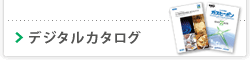 �f�W�^���J�^���O