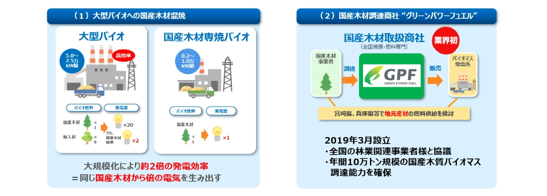 (1)大型バイオへの国産木材混焼 （2）国産木材調達商社「グリーンパワーフュエル」