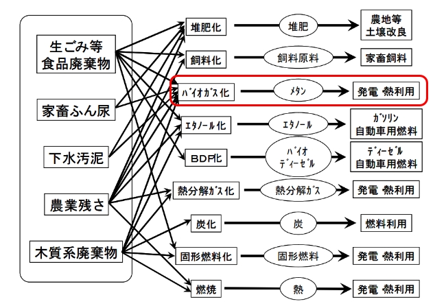 バイオマス系廃棄物の利用用途の概要