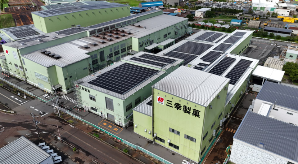 �O�K���ي������ �V���c�H�ꂳ��