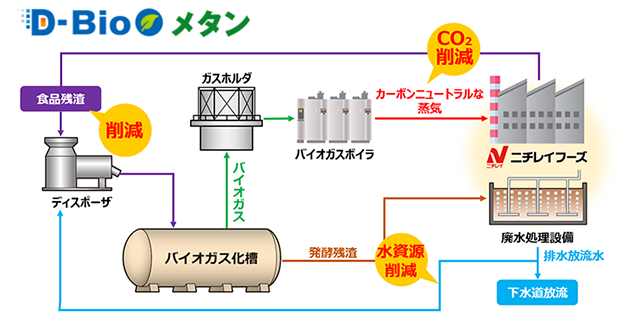 D-Bio���^���C���[�W�}