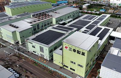 �O�K���ي������ �V���c�H�ꂳ��