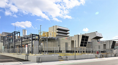 �s�񐻖�������� ��쎖�Ə�����