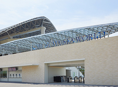 �_�ː{���V�[���[���h����