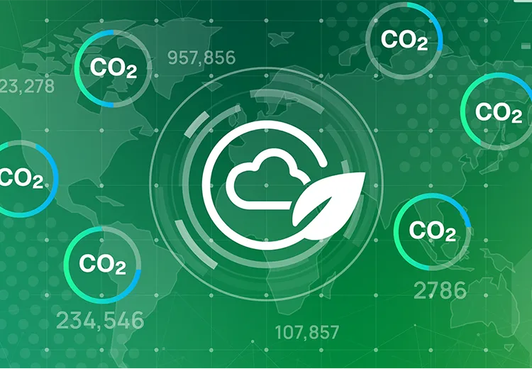 �f�W�^���~�E�Y�f�Ői�߂�u�C��e�b�N�v�̒���