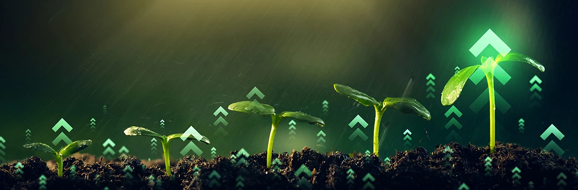 ���������Đ��i����GX�Ƃ́H���ڂ����GX���[�O�̎��g��