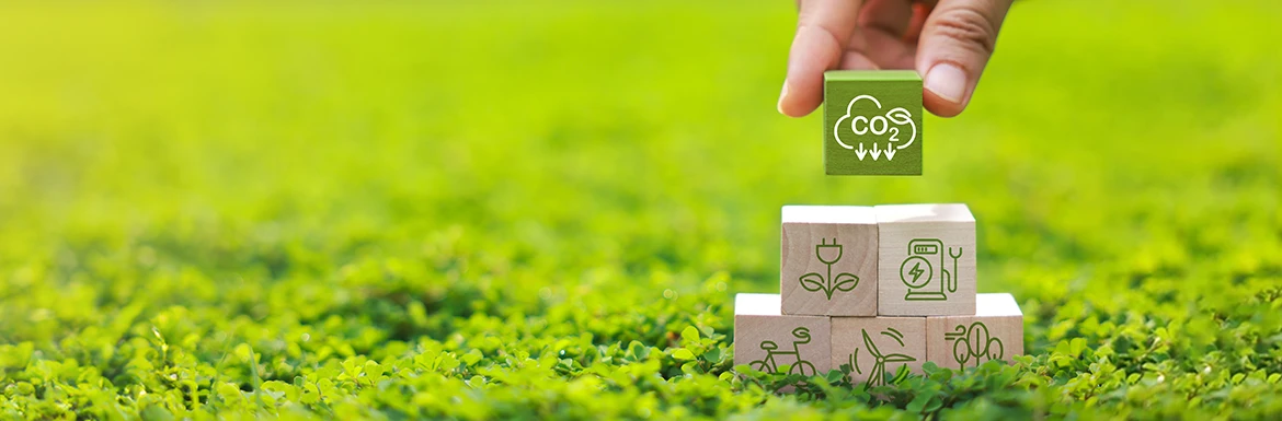 ���ꂩ�琔�N�̑Ή������������E����I�J�[�{���j���[�g�����Ɍ��������ݒn�Ƒ΍�