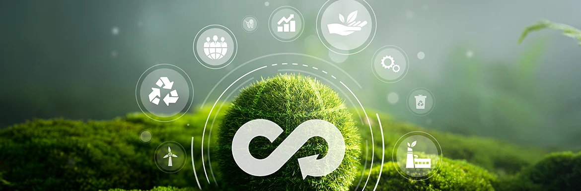 �T�[�L�����[�G�R�m�~�[�Ŏ������鎑���̏z�ƐV���ȃr�W�l�X���f��