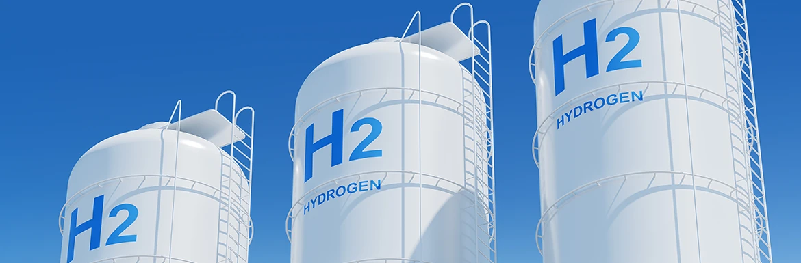 ������G�l���M�[�E���f�̊��p�őO���`�L����p�r�Ɗ��ҁ`