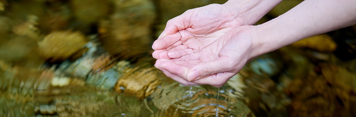 ��ƌo�c���x���鐅�̃��W���G���X�`���܂鐅���X�N�ւ̔����`