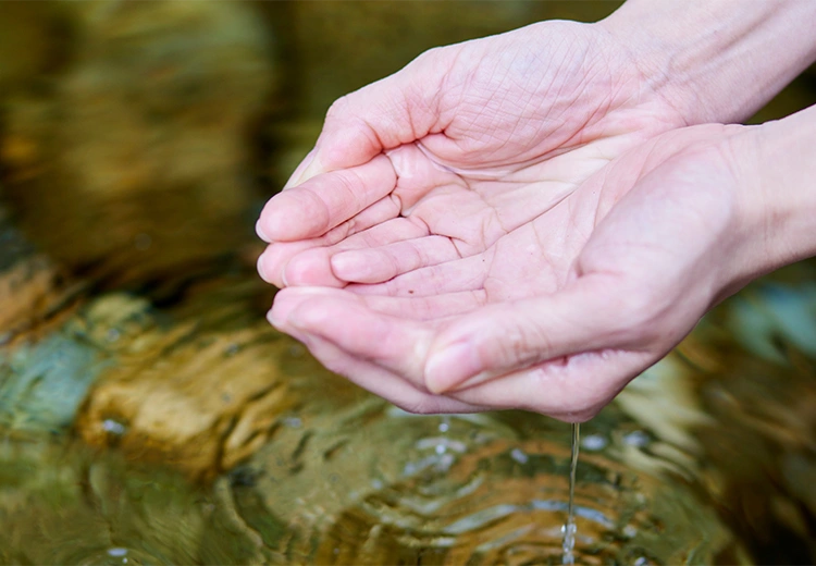 ��ƌo�c���x���鐅�̃��W���G���X�`���܂鐅���X�N�ւ̔����`