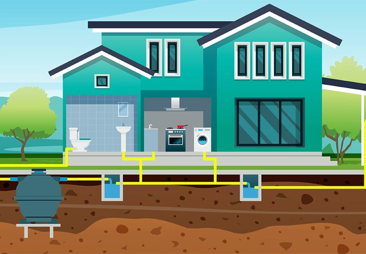 �����r���̏������@�́H����̓W�]�́H