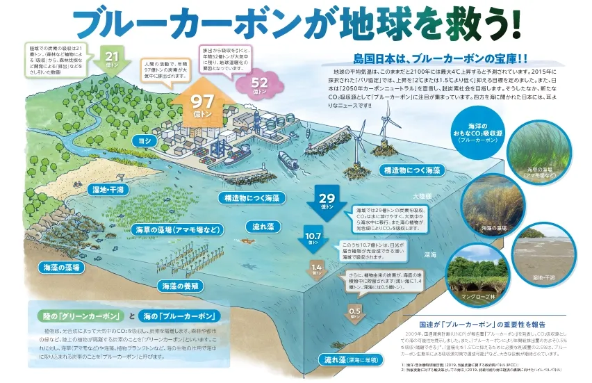 ブルーカーボンが地球を救う
