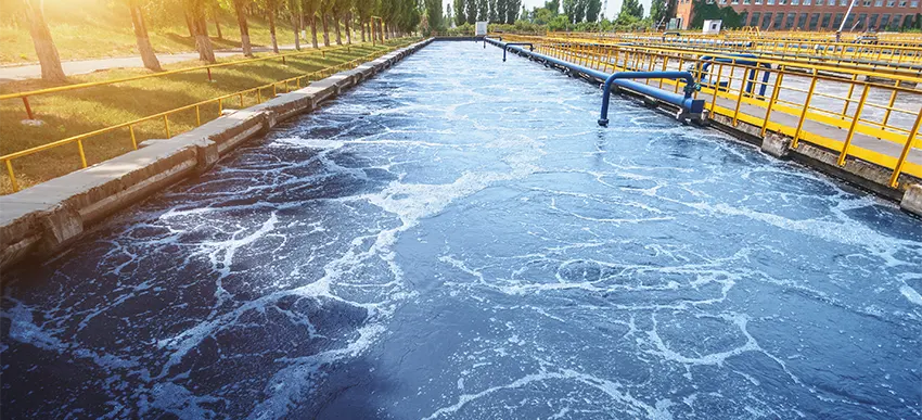 �r�������Ƃ�