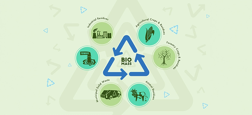 �o�C�I�}�X�Ƃ́H���̓����w�i�Ɖۑ�