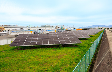 防波堤に沿って並ぶ太陽光発電設備